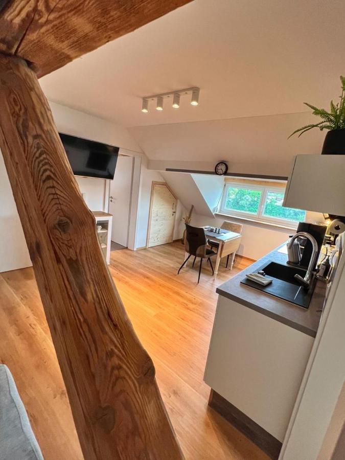 Helle 2 Zimmer Dg Wohnung Пасау Екстериор снимка